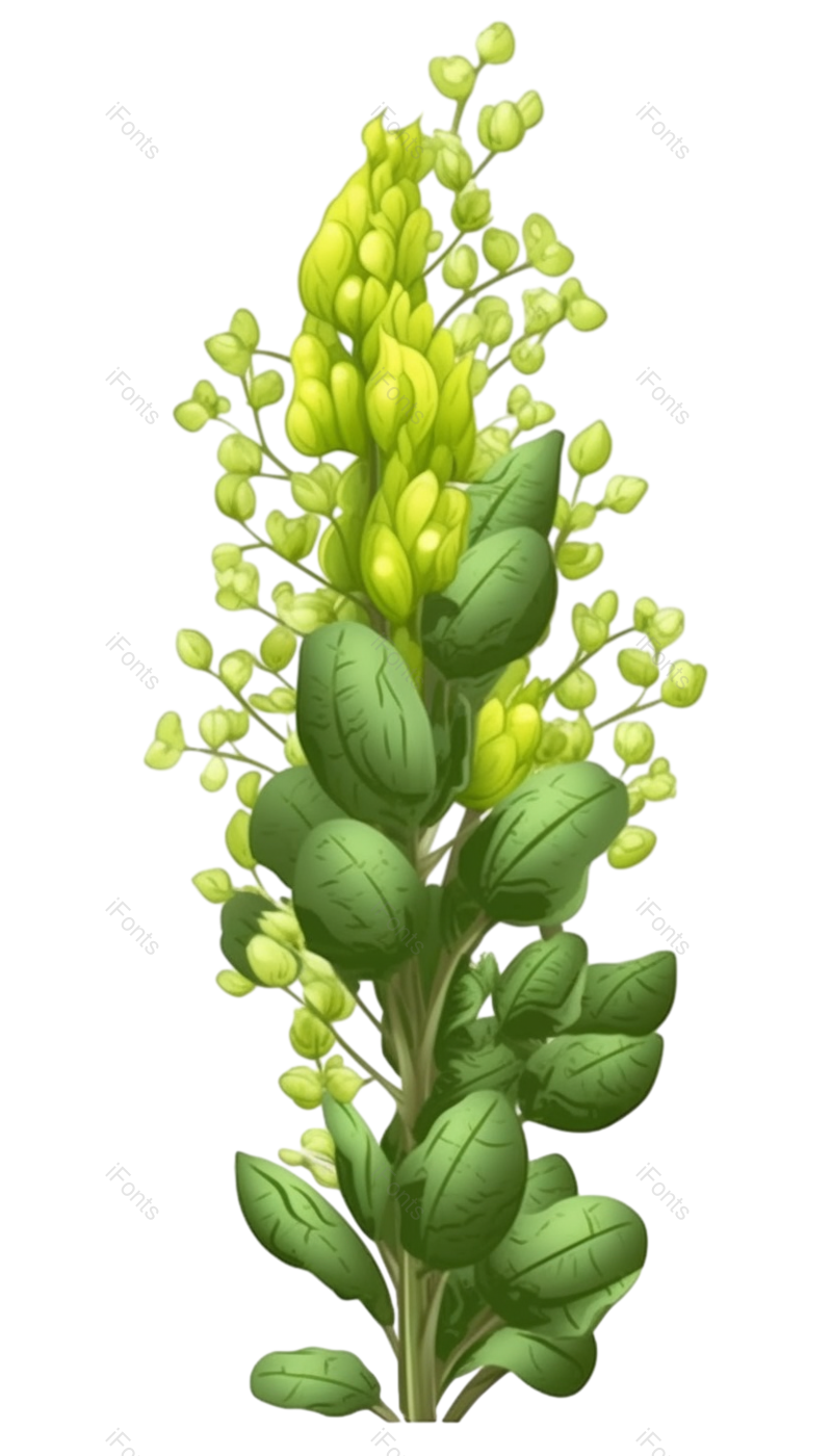 清新图片,花卉元素,花朵PNG,鲜花免抠素材